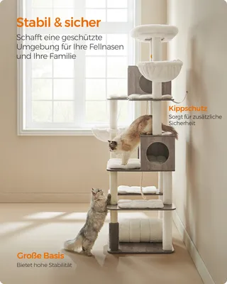 Two cats playing on a multi-level cat tree in a well-lit room.