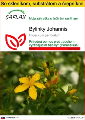 Obrázok produktu pre SAFLAX Kultivačný set - bylinky Johannis - Hypericum perforatum - 300 Semená - S mini skleníkom, pestovateľským substrátom a 2 črepníkmi