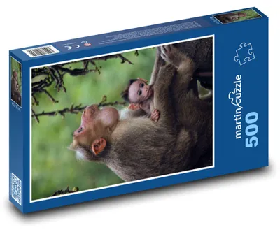 Obrázok produktu pre Puzzle 500 Opica s mláďaťom na strome - martinpuzzle
