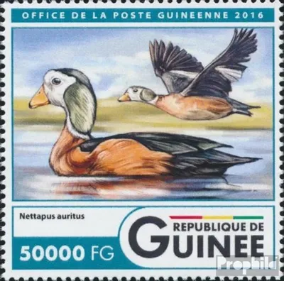 Produktbild von Briefmarken Guinea 2016 Mi 12045 (kompl. Ausgabe) postfrisch Wasservögel
