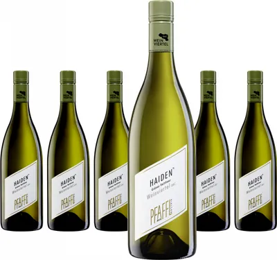 Produktbild von 6 x Weingut Pfaffl Grüner Veltliner HAID DAC