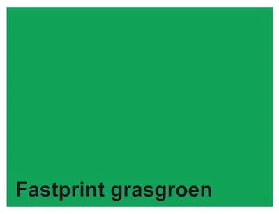 Image de Papier à copier Fastprint A4 160 g vert gazon 50 feuilles