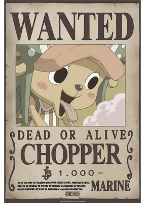 One Piece Wanted Poster Chopper 52x38 cm