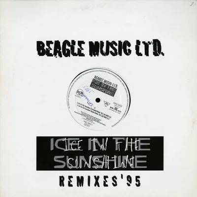 Zdjęcie produktu dla Ice In The Sunshine (Remixes '95)