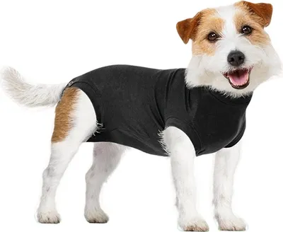 Immagine prodotto di Suitical Recovery Suit® Dog nero, taglia: M+