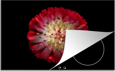 Produktbild von KitchenYeah© Herdabdeckplatte Blumen - Rot - Frühling , 77x51cm, Küche Deko, Glaskeramikkochfeld Herdabdeckung, Abdeckplatte fùr Kochfeld