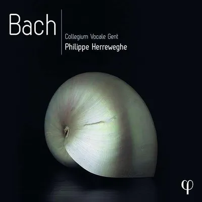 Obrázek produktu pro Johann Sebastian Bach (1685-1750): Philippe Herreweghe - Bach (PHI-Recordings) - - (CD / P)