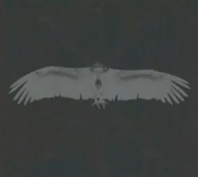 Produktbild von Echtra-Sky Burial (Digipak)