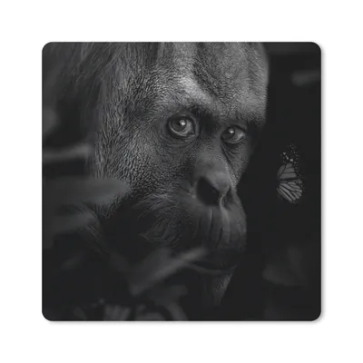 Produktbild von MuchoWow® Mauspad Mousepad Schmetterling - Affe - Pflanzen - Schwarz - Weiß 30x30 cm - Mousepads - Maus Mat - Pad - Mausunterlage - Gaming