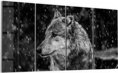 Produktbild von DEQORI Glasbild Echtglas 4x30x60 cm 'Winterwächter' Wandbilder XXL groß