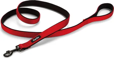 Produktbild von Karlie Art Sportiv Premium - Hundeleinen - Nylon - Rot - 180x2,5 cm