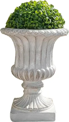 A decorative planter with a green plant.