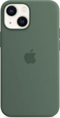 Image de Apple Silicone Backcover MagSafe pour Apple iPhone 13 Mini - Eucalyptus