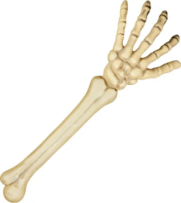 Produktbild von Skelett Arm ca. 46cm Halloween Dekoration