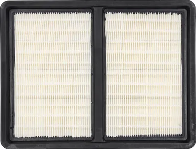 Zdjęcie produktu dla Filtr HEPA do odkurzacza Dedra DED6607