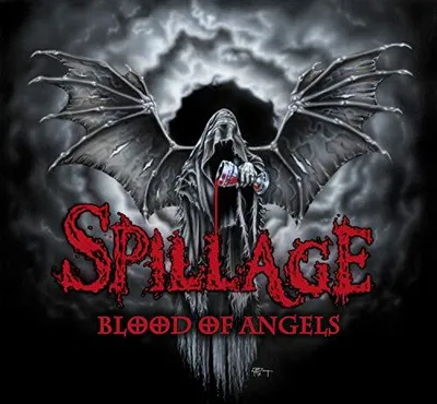Produktbild von ImportCDs Blood of Angels, Schwermetall, Vinyl, Physische Medien, Erwachsener, 1 Disks, 10/01/2019