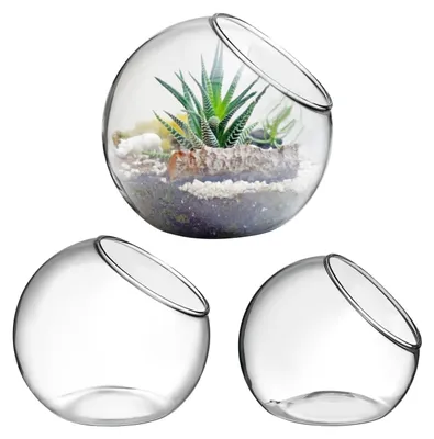 Zdjęcie produktu dla Zestaw 3 doniczek do terrarium i upraw hydroponicznych
