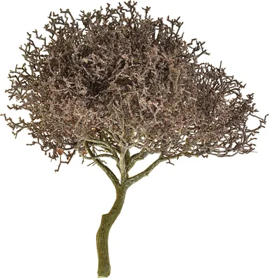 Produktbild von Künstlicher Korallenzweig Gefrostet Winterdeko Weihnachtsdekoration Glitter Ø23cm