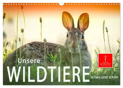 Produktbild von Unsere Wildtiere - scheu und schön (Wandkalender 2027 DIN A3 quer), CALVENDO Monatskalender