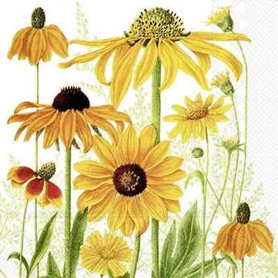 Produktbild von Servietten 33x33 cm - DANIELLE