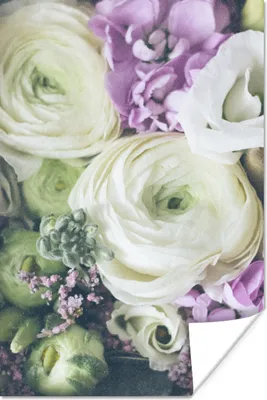 Produktbild von MuchoWow® Poster Blumen - Rosen - Natur 40x60 cm - Plakate für die Wand - Poster Babyzimmer