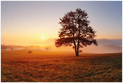 Produktbild von Wallario Premium Glasbild, freischwebende Optik, kräftige Farben, Größe 90 x 60 cm Motiv Sonnenaufgang über der Wiese mit Nebel