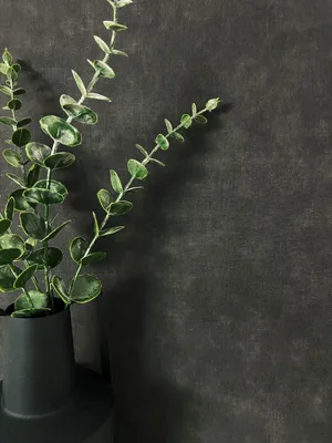 Produktbild von NEWROOM Tapete Paraiso Uni Black Schwarz Vliestapete - Modern Unifarbe Struktur  Germany