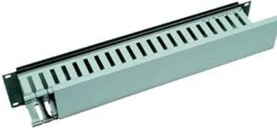 Obrázok produktu pre Triton 19" panel 2U with cable trunking, Čierna