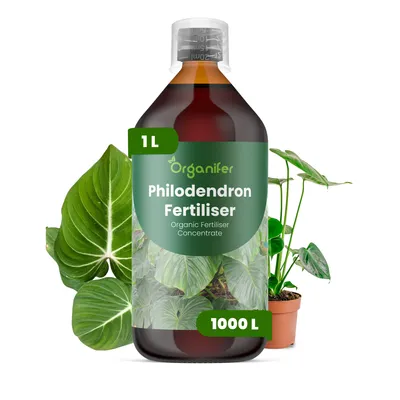 Zdjęcie produktu dla Filodendron Nawóz Płynny 1 L – 2-1-8 NPK – Do Filodendróny – Podporuje Silny Wzrost i Zdrowe Liście – Organifer