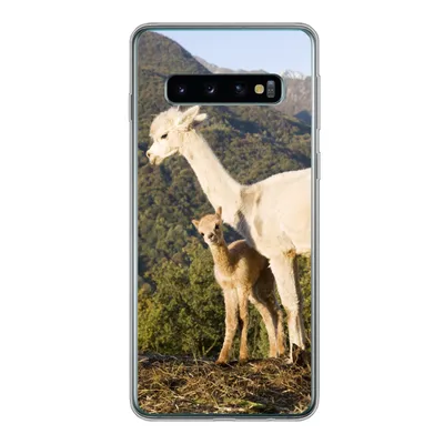 Produktbild von MuchoWow® Handyhülle Schutzhülle Hülle für Samsung Galaxy S10 Alpakas - Berge - Natur Silikon Softcase Handy Hülle - Handytasche