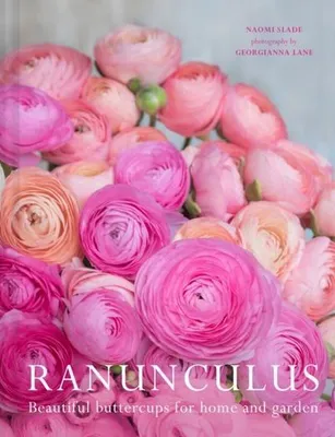 Produktbild von Ranunculus