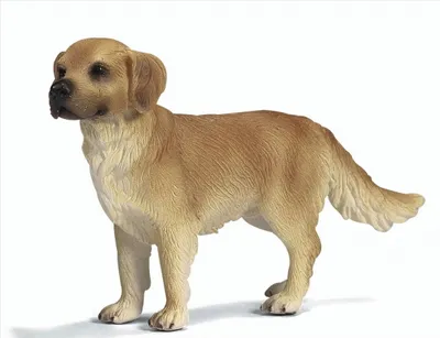 Image de Schleich 16335 Golden Retriever