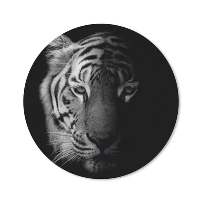 Produktbild von MuchoWow® Mauspad Mousepad Tiger - Tiere - Wild - Schwarz - Weiß 20x20 cm - Mousepads - Maus Mat - Pad - Mausunterlage - Schreibtischmatte