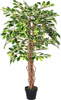 Produktbild von HOMESCAPES Kunstbaum Ficus Benjamini grün weiß 122 cm