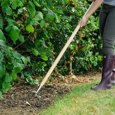 Produktbild von Famanu Gartenhacke aus rostfreiem Stahl - Unkrautjäger mit Eschenholzstiel - 160 cm