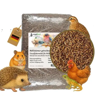 Produktbild von 2x5 kg Mehlwürmer getrocknet | Proteinreich & Natürlich | Ideal für alle Vogelarten | Wildvogelfutter Ganzjahresfutter