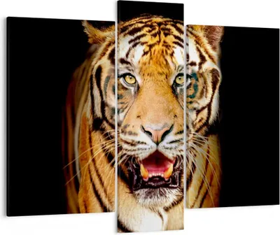 Produktbild von Bild auf Leinwand - Leinwandbild - tiger tier - 95x80cm - Wand Bild - Wanddeko - Wandbilder - Leinwanddruck - Bilder - Kunstdruck - Wanddekoration - Leinwand bilder - Wandkunst - CB95x80-4103