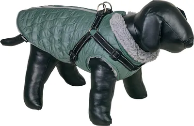 Produktbild von Nobby Hundemantel Polara 2in1 cascade, Größe: 26 cm