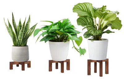 Productafbeelding van 3-pack Houten Plantenstandaards Binnen Buiten, Moderne Plantenkruk