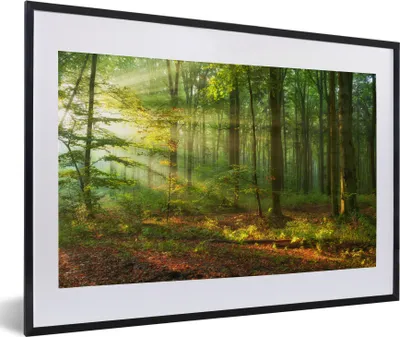 Produktbild von MuchoWow® Gerahmtes Poster Sonne - Wald - Bäume - Natur - Herbst 60x40 cm - Poster mit Schwarzem Bilderrahmen Wandposter Rahmen Foto Bilder - Schlafzimmer - Plakat in Rahmen - Drucken