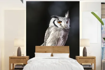 Produktbild von MuchoWow® Fototapete für Wohnzimmer oder Schlafzimmer Wandtapete Vinyl Motivtapete Sperlingskauz - 165x220 cm - Wanddekorationen