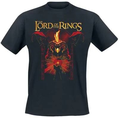 Produktbild von Der Herr der Ringe T-Shirt Herren You Shall Not Pass schwarz XL