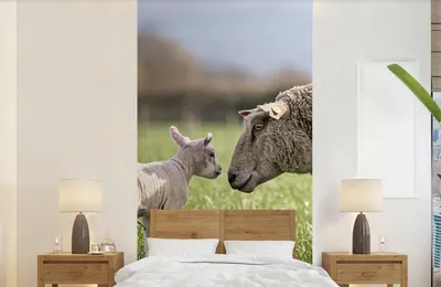 Productafbeelding van Graslampeppe schap, 120 x 240 cm