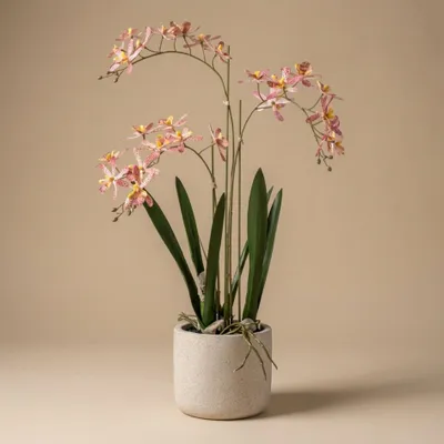 Produktbild von Renanthera Orchidee Rosa im Topf - 56 cm - Kunstpflanze