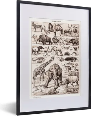 Produktbild von MuchoWow® Gerahmtes Poster Tiere - Elefant - Schwarz - Weiß 30x40 cm - Poster mit Schwarzem Bilderrahmen Wandposter Rahmen Foto Bilder - Wandposter Schlafzimmer