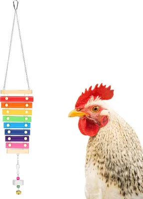 Produktbild von Holz Xylophon -Hackdiversion Soundproduzierung Spielzeug W Mahlstein für Haustierhähnchenpapageien