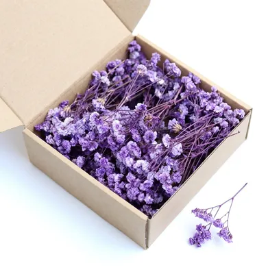 50 getrocknete Schleierkraut-Blüten, 5–9 cm, zum Basteln und Dekorieren