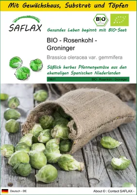Produktbild von SAFLAX Anzucht Set - BIO - Rosenkohl - Groninger - Brassica oleracea var. gemmifera - 30 Samen - Mit Mini-Gewächshaus, Anzuchtsubstrat und 2 Töpfen
