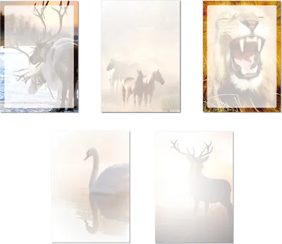 Produktbild von 5 x 5 Blatt Motivpapier Briefpapier Mix DIN A4 Rentiere Pferde Löwe Schwan Hisch (Tiere-5240)