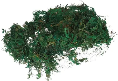 Immagine prodotto di Tg39917 Muschio Artificiale 30G Sfuso Decorativo Per Canne